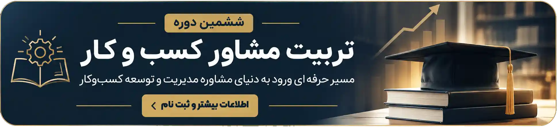 تربیت مشاور کسبوکار