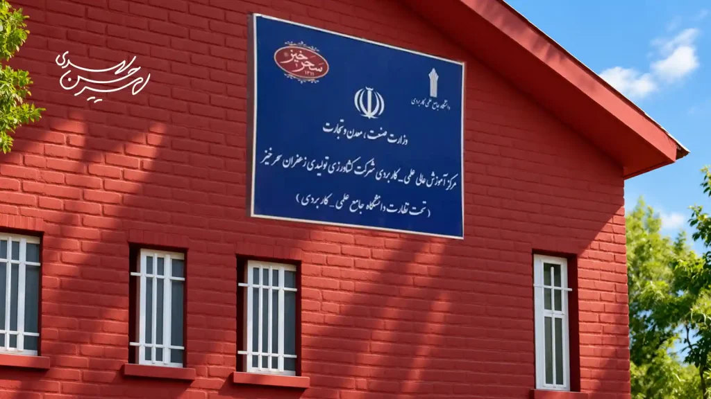 دانشگاه سحرخیز